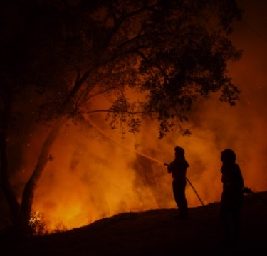 Unsmoking Portugal's forests