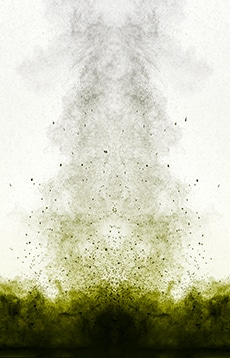 Clean air act 2