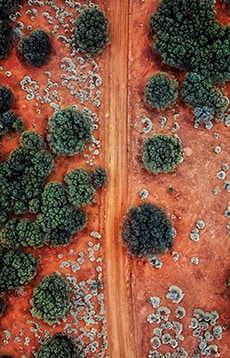 Land rights for indigenous australians 2